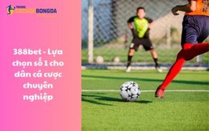 388bet - Lựa chọn số 1 cho dân cá cược chuyên nghiệp