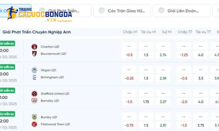 8live – nhà cái bậc nhất hiện nay