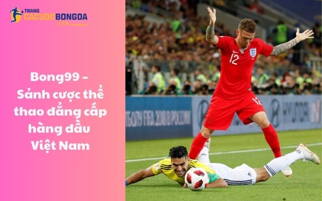 Bong99 – Sảnh cược thể thao đẳng cấp hàng đầu Việt Nam