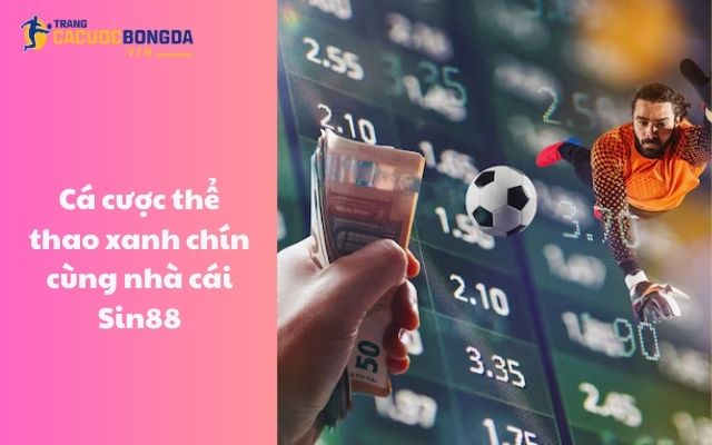 Cá cược thể thao xanh chín cùng nhà cái Sin88 