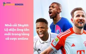 Nhà cái Sky88: Lộ diện ông lớn mới trong làng cá cược online